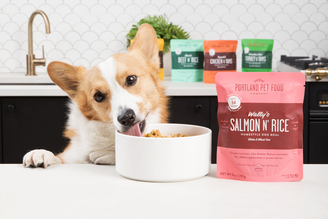 The Benefits of Organic Dog Food: Why It Matters for Your Pet's Health - Portland Pet Food Company