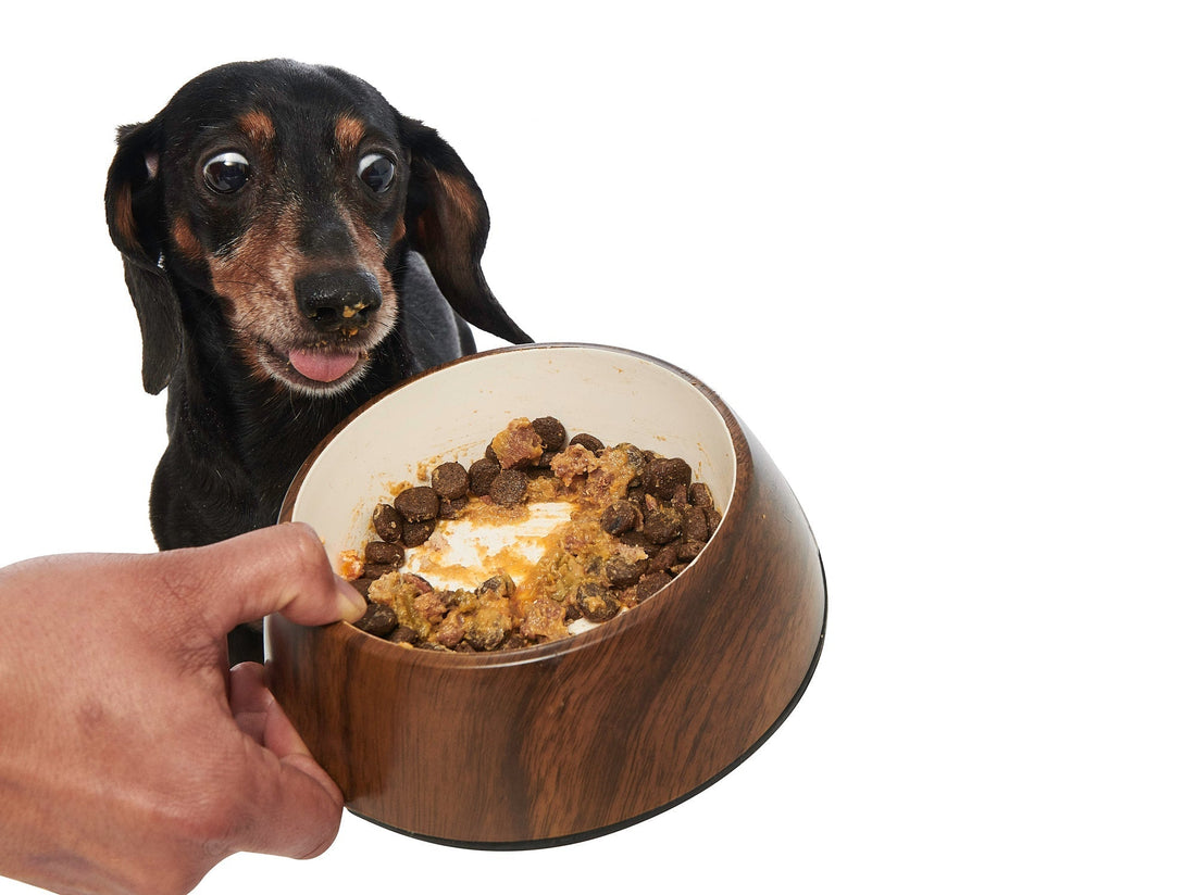 The Dog Food Nutrition Measurement You’ve Never Heard About - Portland Pet Food Company