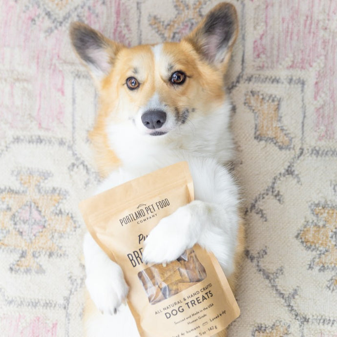 What Is Grain-Free Dog Food?