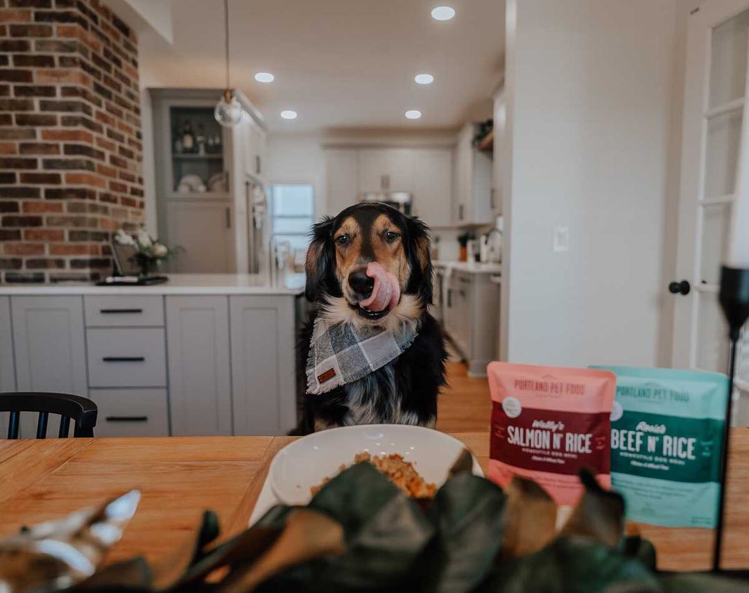 Dog ate raw outlet rice