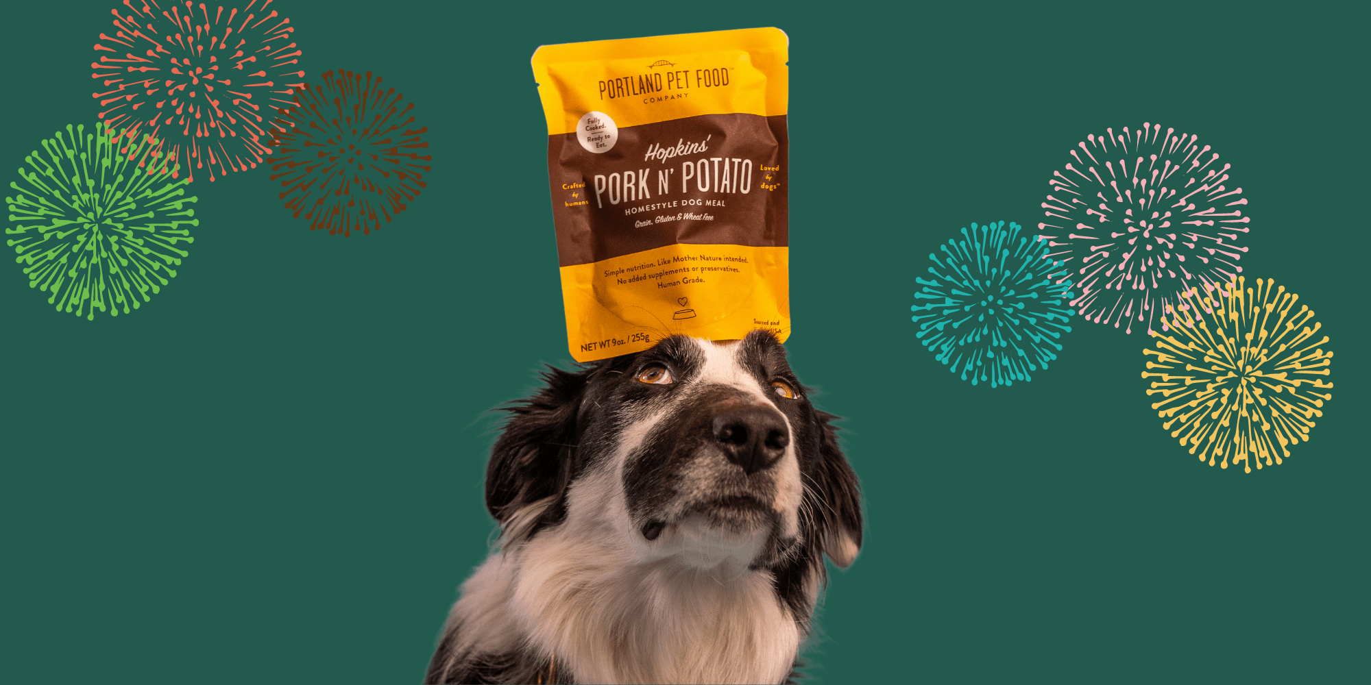 Tips For Dogs Afraid Of Fireworks - Portland Pet Food Company
