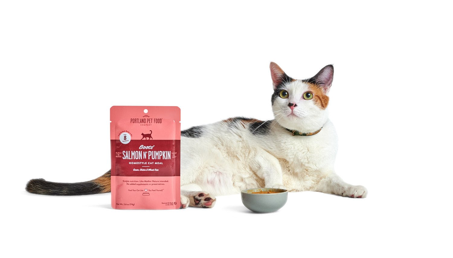 What To Feed A Finicky Cat - Portland Pet Food Company