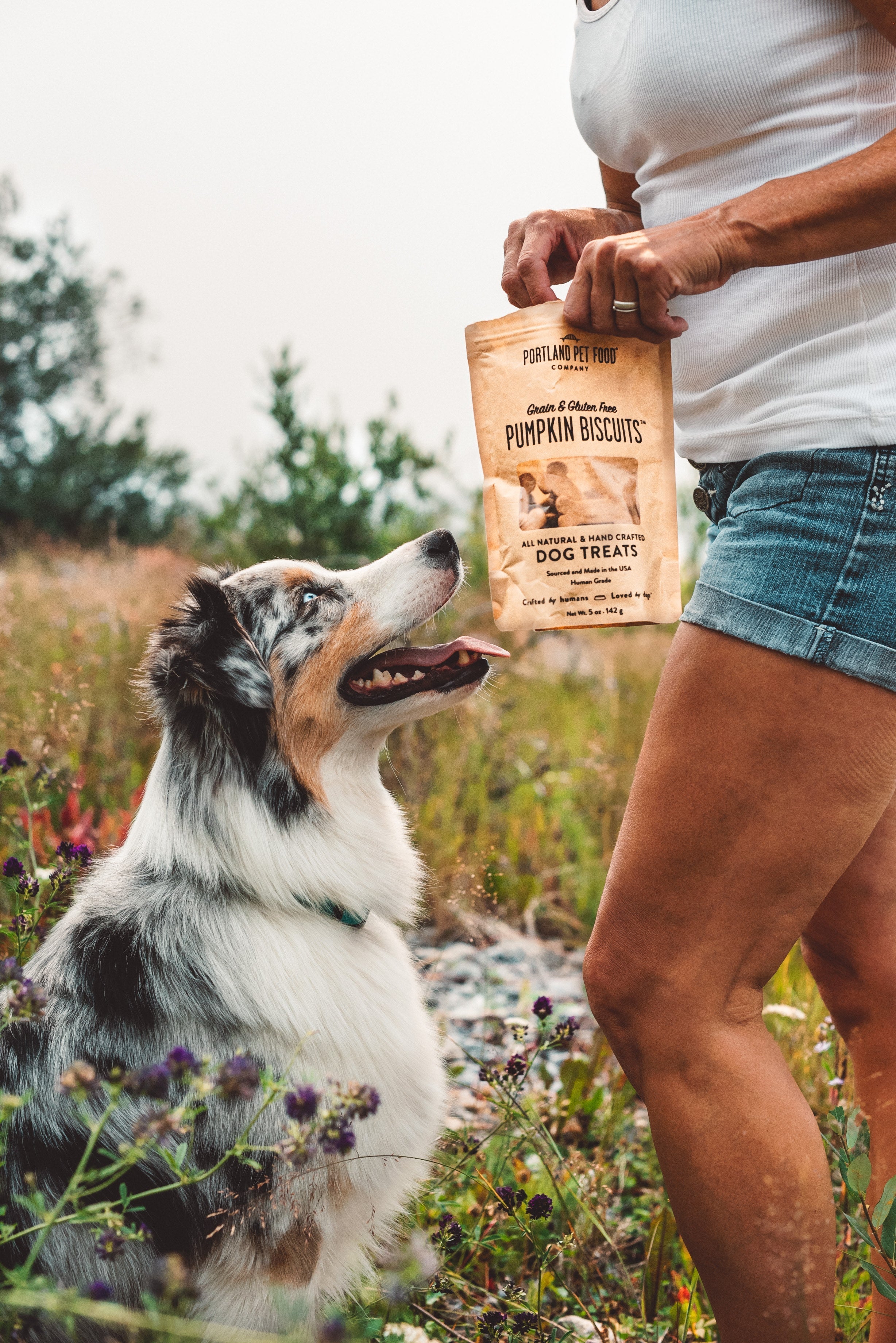 Why Dogs Love Our Pumpkin Dog Treats - Portland Pet Food Company