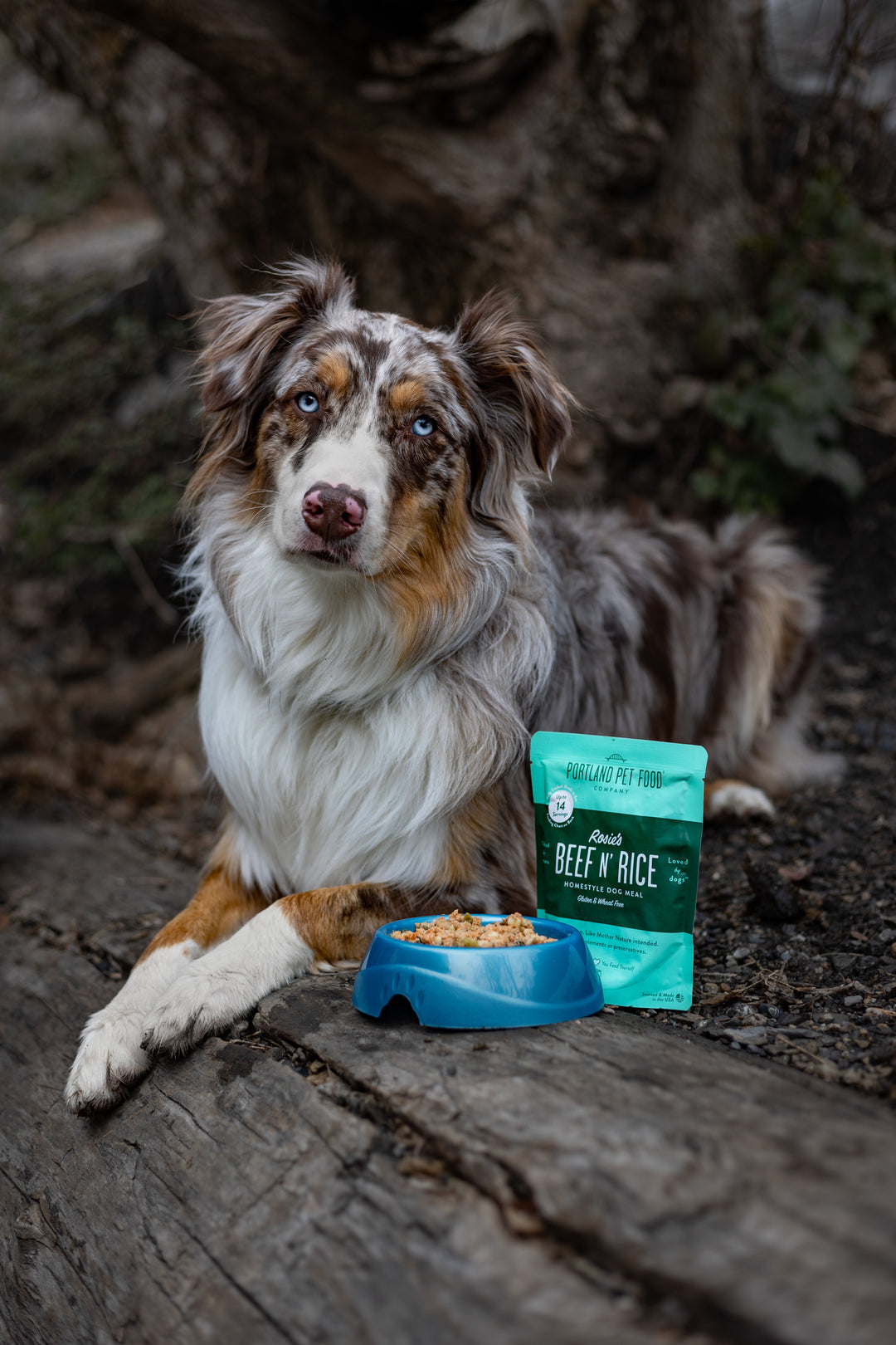 Gently Cooked Dog Food Toppers | Healthy, Limited Ingredient – Portland