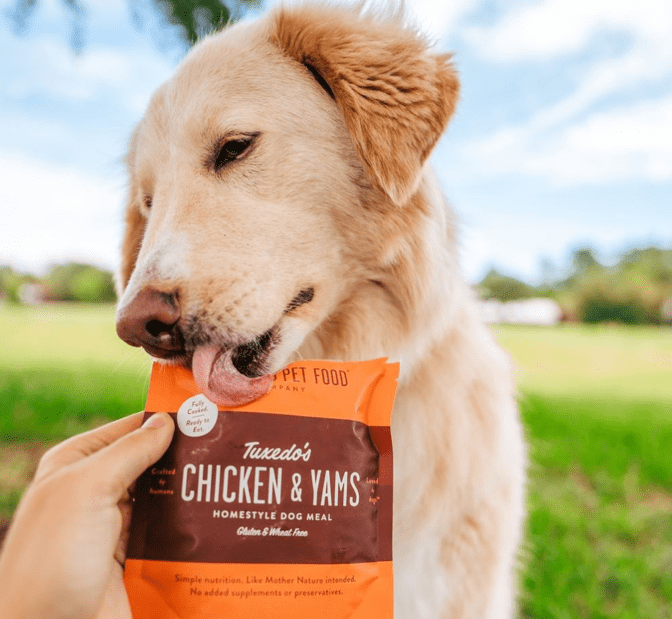 are meat and chicken by products bad for dogs