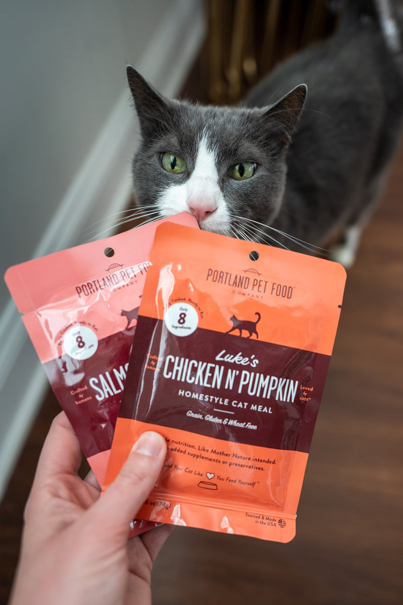 Cat meals