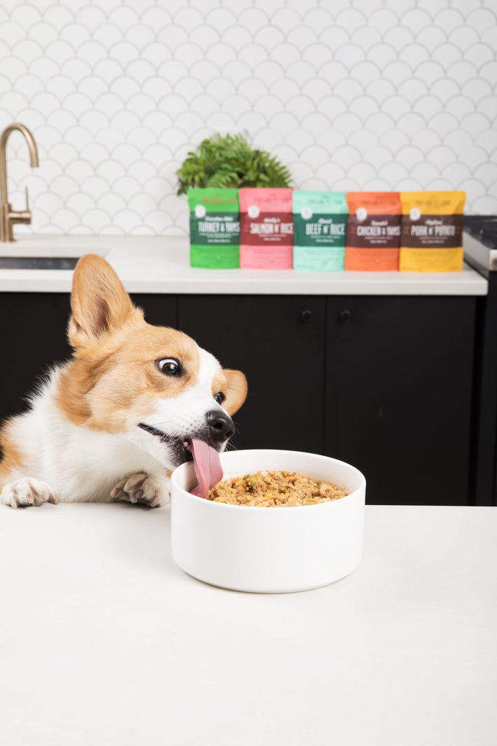View of Grain Free Dog Food Topper For Picky Eaters, Seniors | Turkey ...