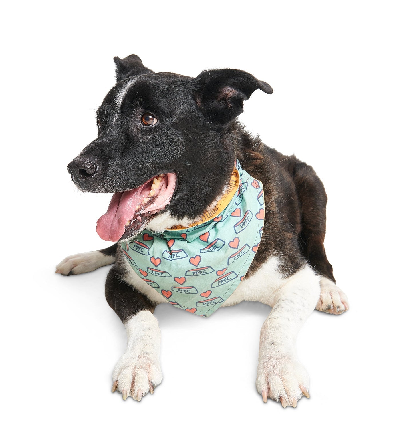 PPFC Bandana - Portland Pet Food Company